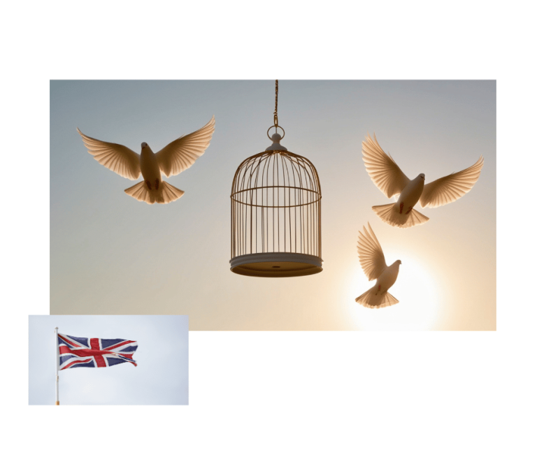 Applying for humanitarian protection in the UK immigration guidance